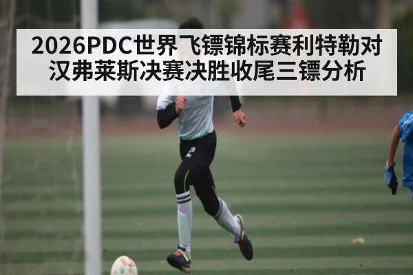 2026PDC世界飞镖锦标赛利特勒对汉弗莱斯决赛决胜收尾三镖分析