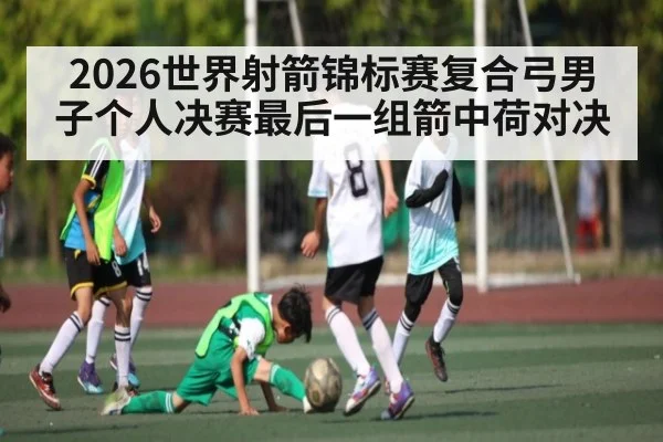2026世界射箭锦标赛复合弓男子个人决赛最后一组箭中荷对决